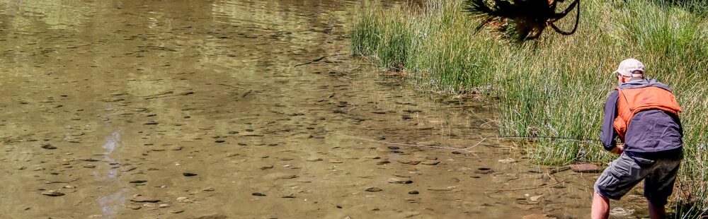 Sight fishing the flats of Manzanita Lake