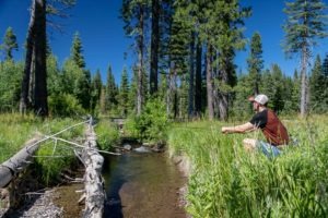 Fly Fishing For Redband Trout