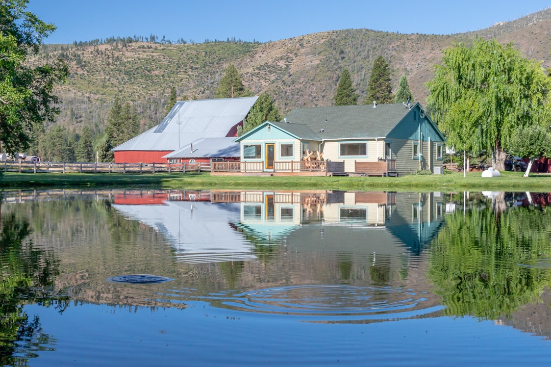 Rising trout in front of waterfront home for sale on Hat Creek