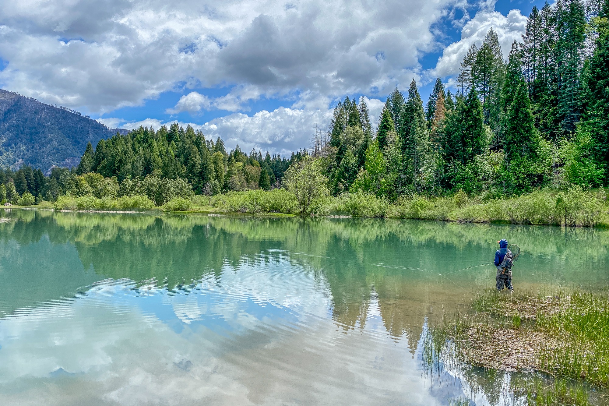 Long lake fisherman 4