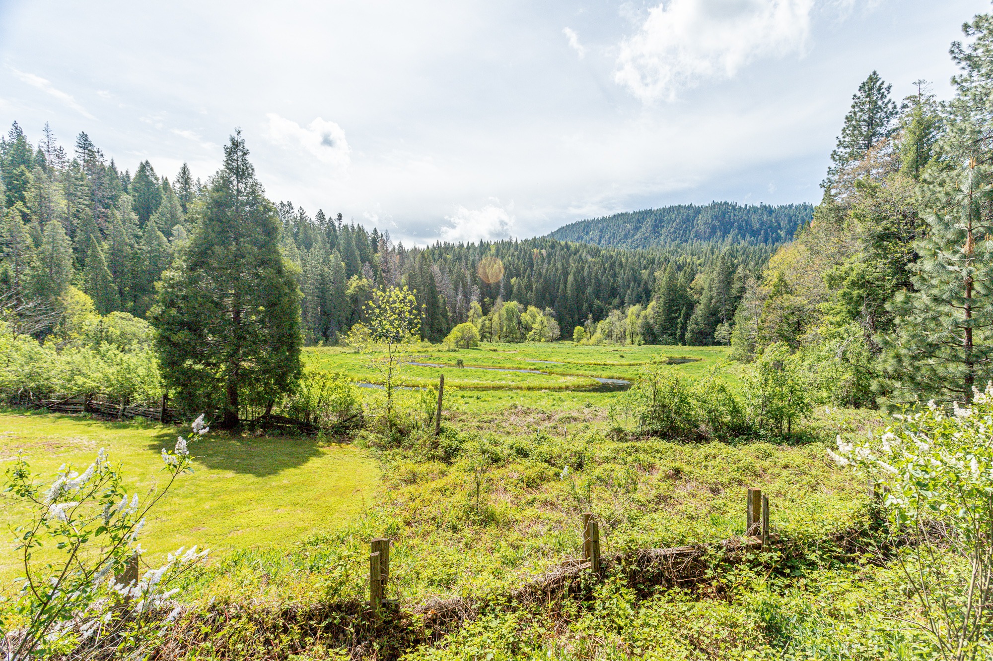 Meander meadow