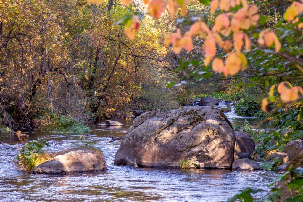 Waterfront home on the Upper Sacramento River in Dunsmuir great fly fishing