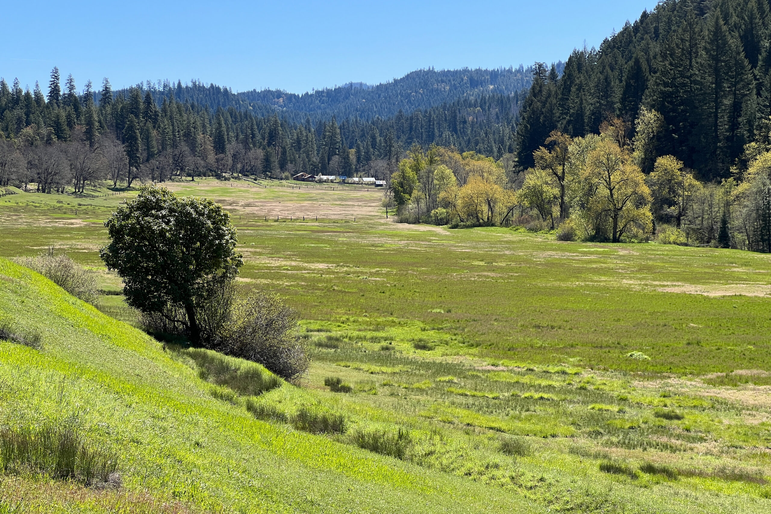 Trinity county ranch