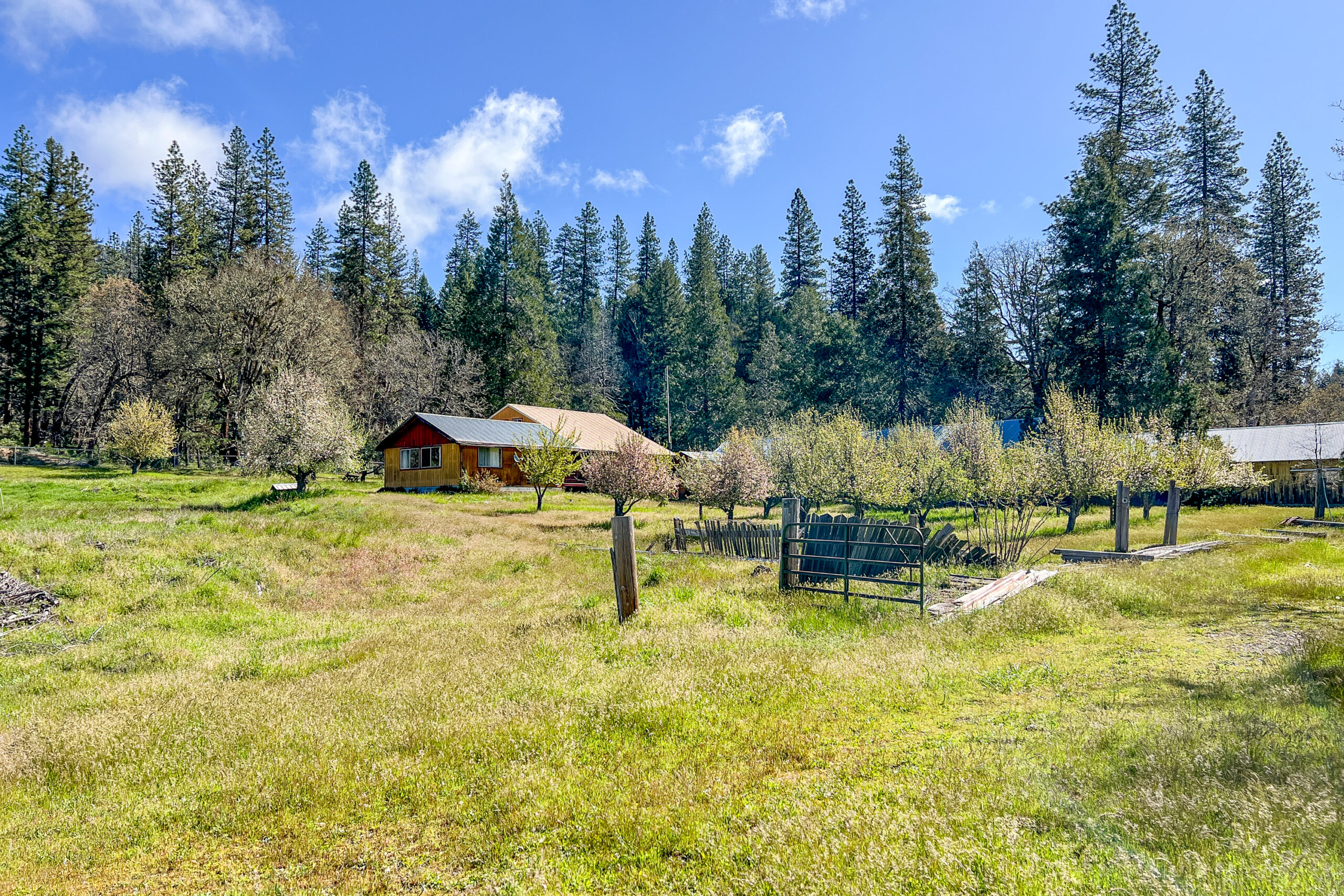 Orchard and home